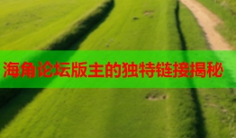 海角论坛版主的独特链接揭秘