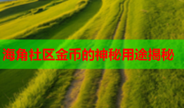 海角社区金币的神秘用途揭秘