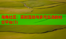 海角社区：实时互动与多元交流的社交平台(3)