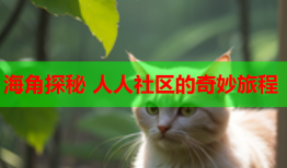 海角探秘 人人社区的奇妙旅程