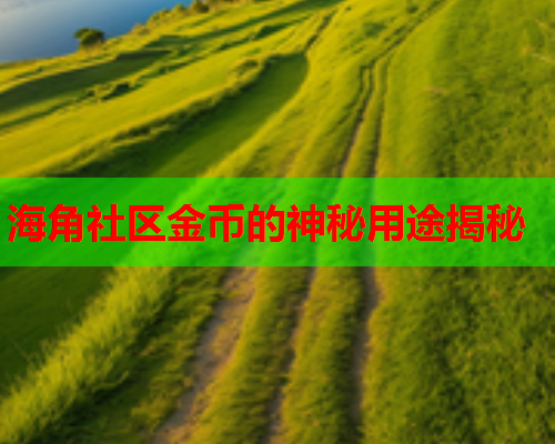 海角社区金币的神秘用途揭秘