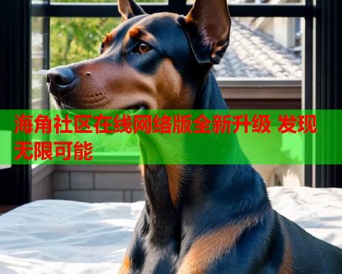 海角社区在线网络版全新升级 发现无限可能