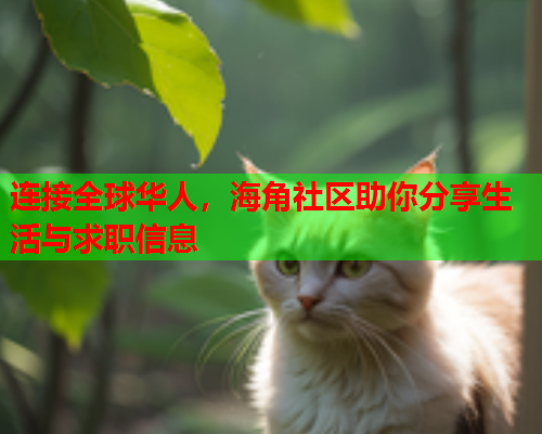 连接全球华人，海角社区助你分享生活与求职信息